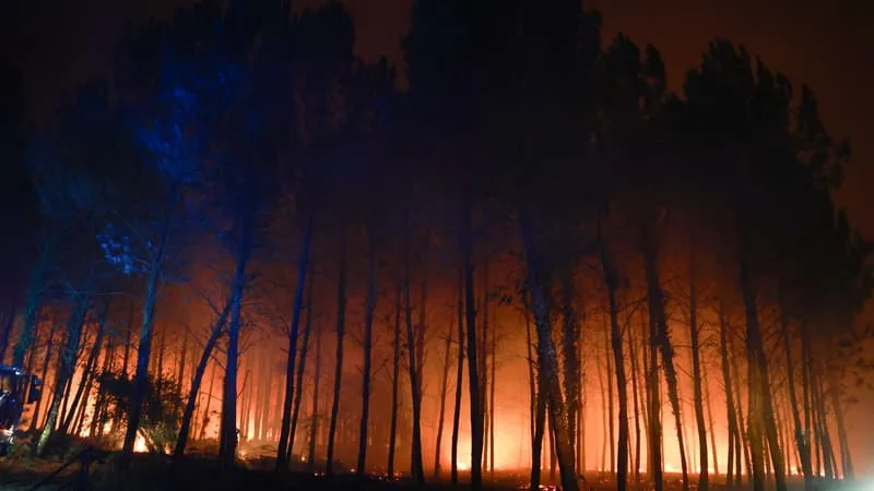 Incendie dans les Landes: l'ensemble des personnes évacuées autorisées à rentrer chez elles
