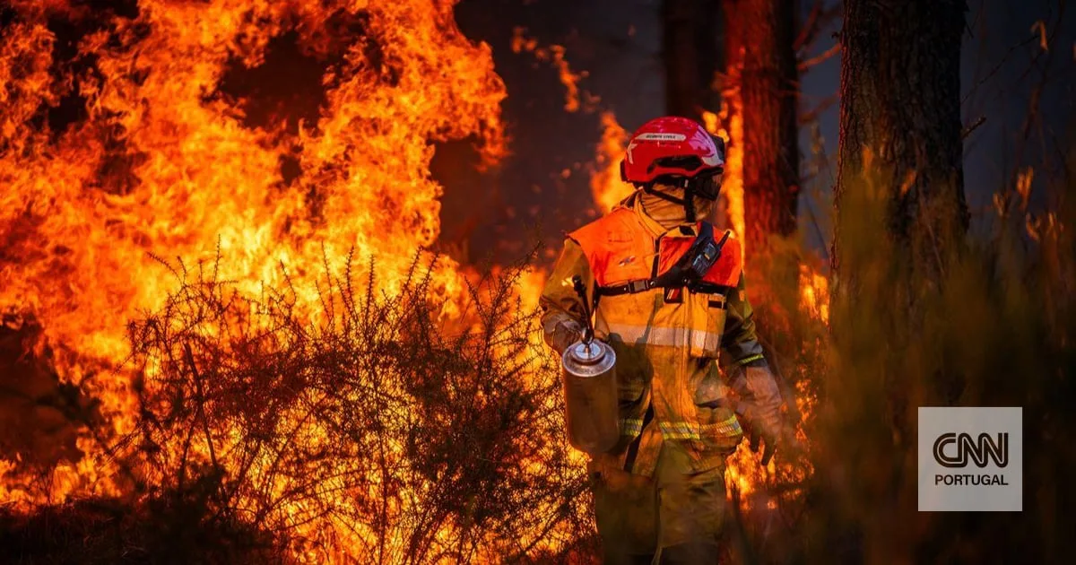 Governo francês anuncia 100 milhões de euros em ajudas e isenções devido aos megaincêndios