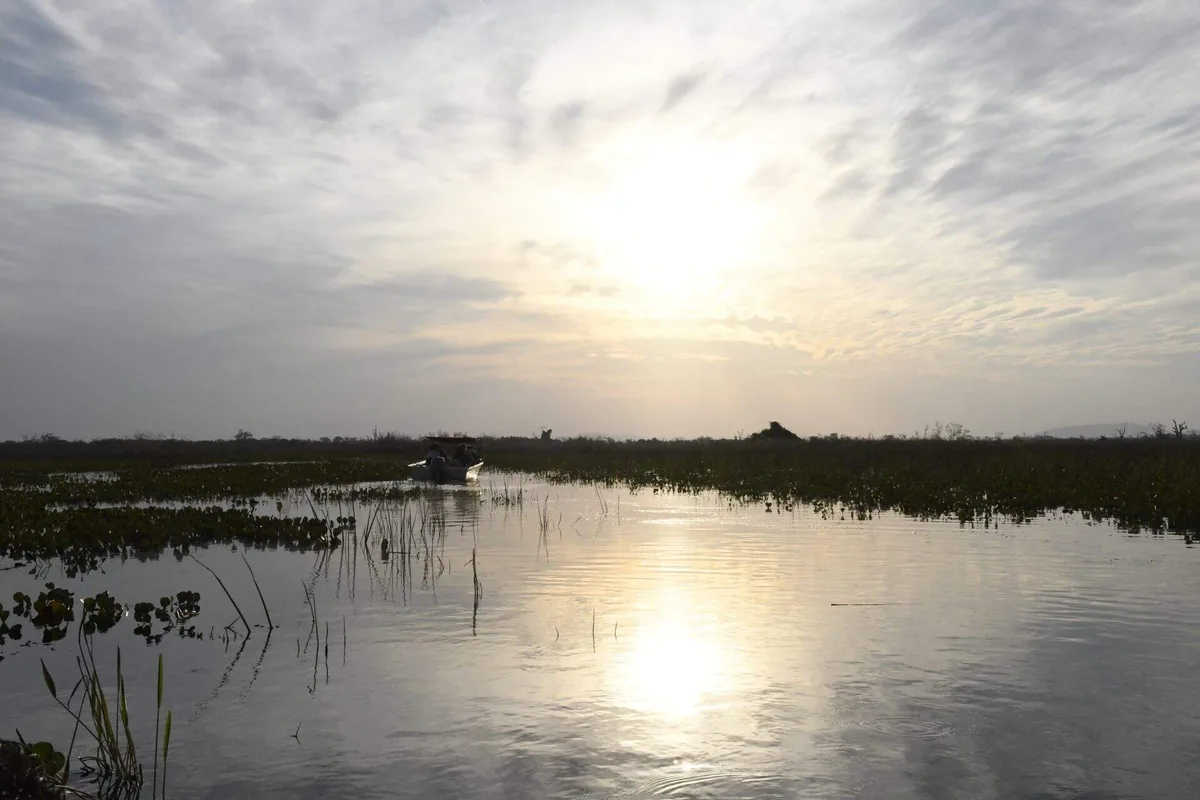 Mato Grosso do Sul faz 49 anos; as desigualdades não podem envelhecer junto