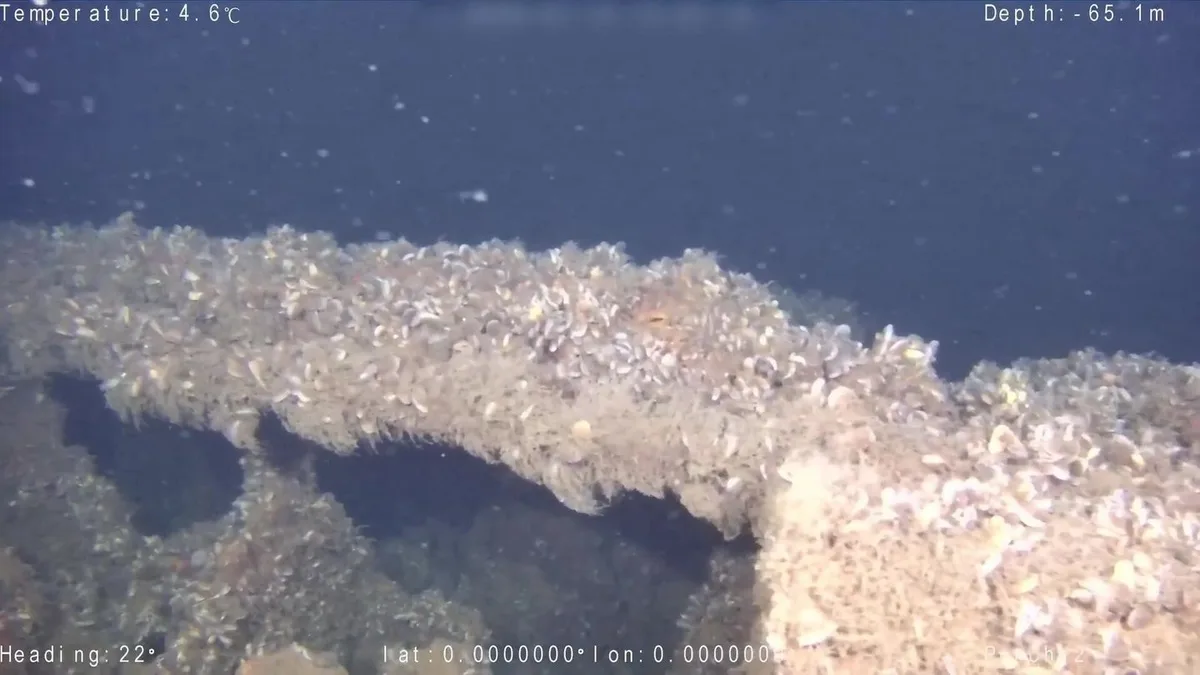 Weltkriegsfund: Forscher entdecken drei Kriegs-U-Boote in Ostsee und Mittelmeer