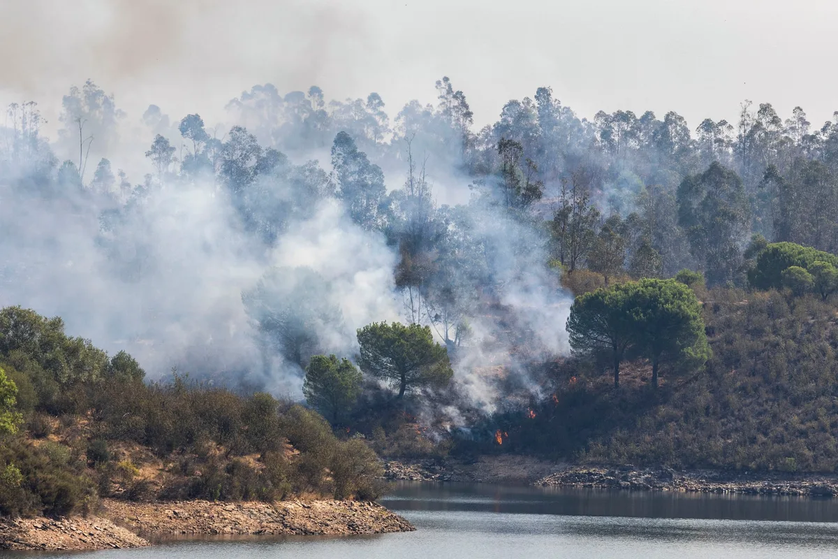 Tras los incendios del verano, España concentra casi la mitad de todas las hectáreas quemadas en la Unión Europea