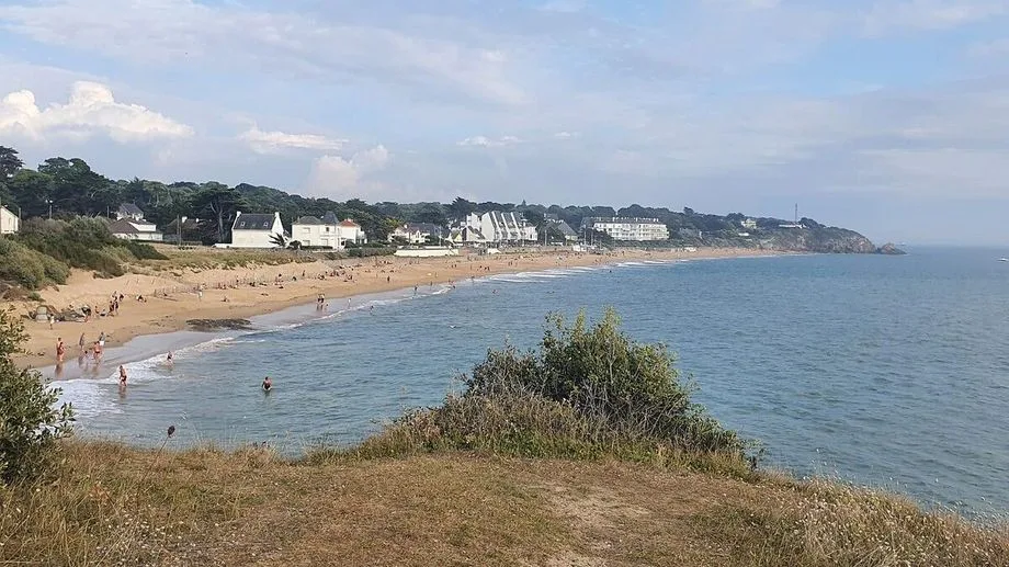 Un dauphin s'échoue sur une plage à Pornichet, des blessures retrouvées sur son corps