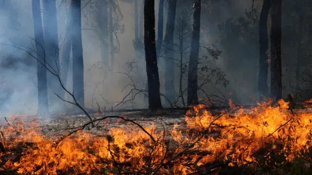 Três bombeiros feridos no fogo de Arganil
