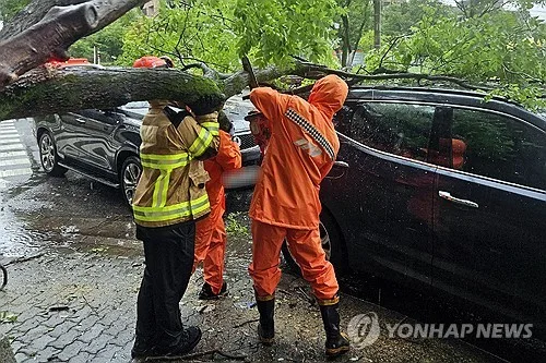 광양 최대 119.7㎜ 비…전남광주 곳곳 호우특보