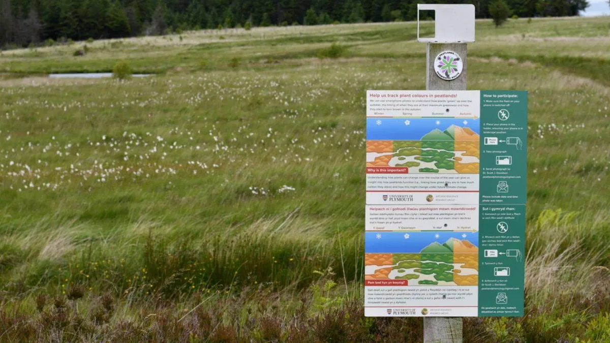 South Wales peatlands recorded signs of recovery after restoration work