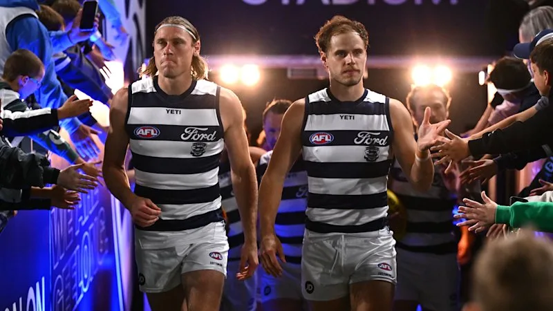 The system failing that shows the Cats concussion saga isn’t black or white, but grey
