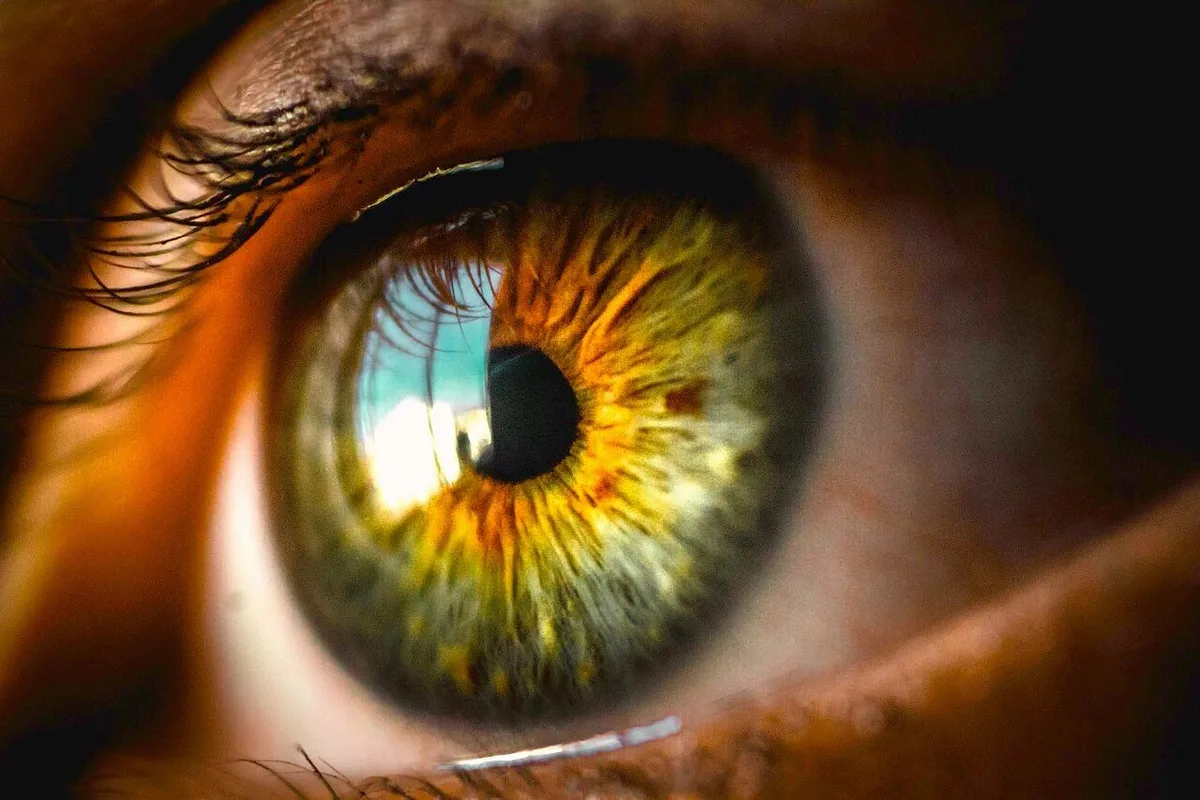 Porque as pupilas se dilatam quando ficamos surpreendidos