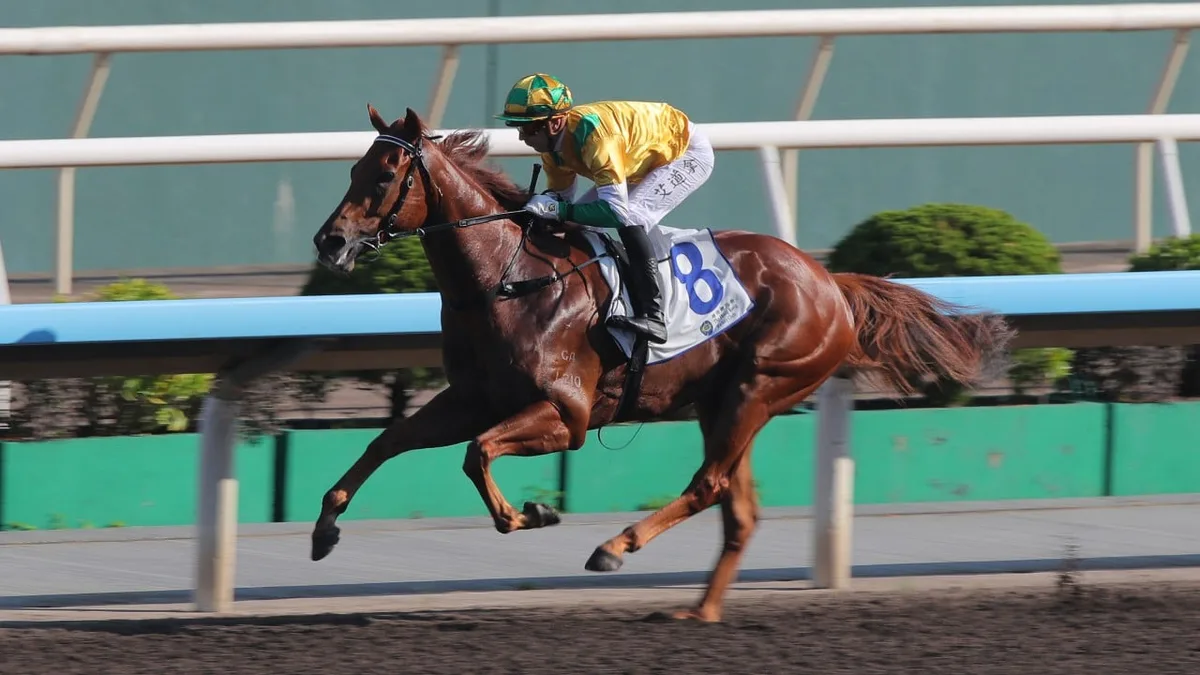 Brenton Avdulla relishing link-up with seven-length return winner Bustling City at Sha Tin