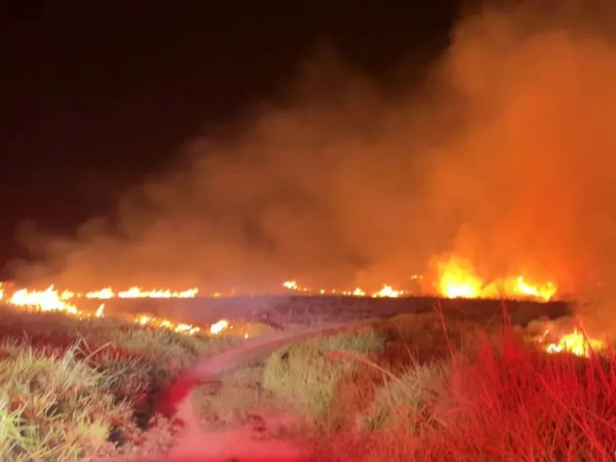 Incêndio atinge cerca de 50 hectares de mata e se aproxima de casas no interior do Acre