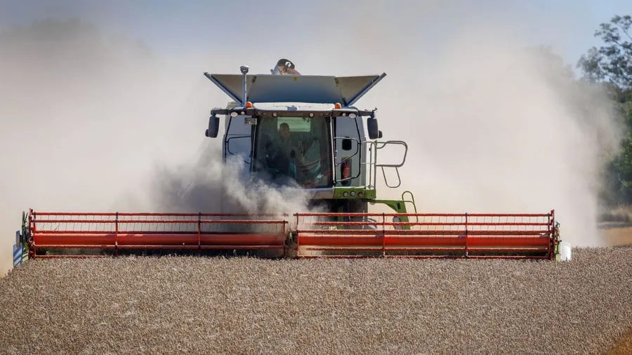 Landwirtschaft: Bauernverband erwartet deutlich kleinere Ernte