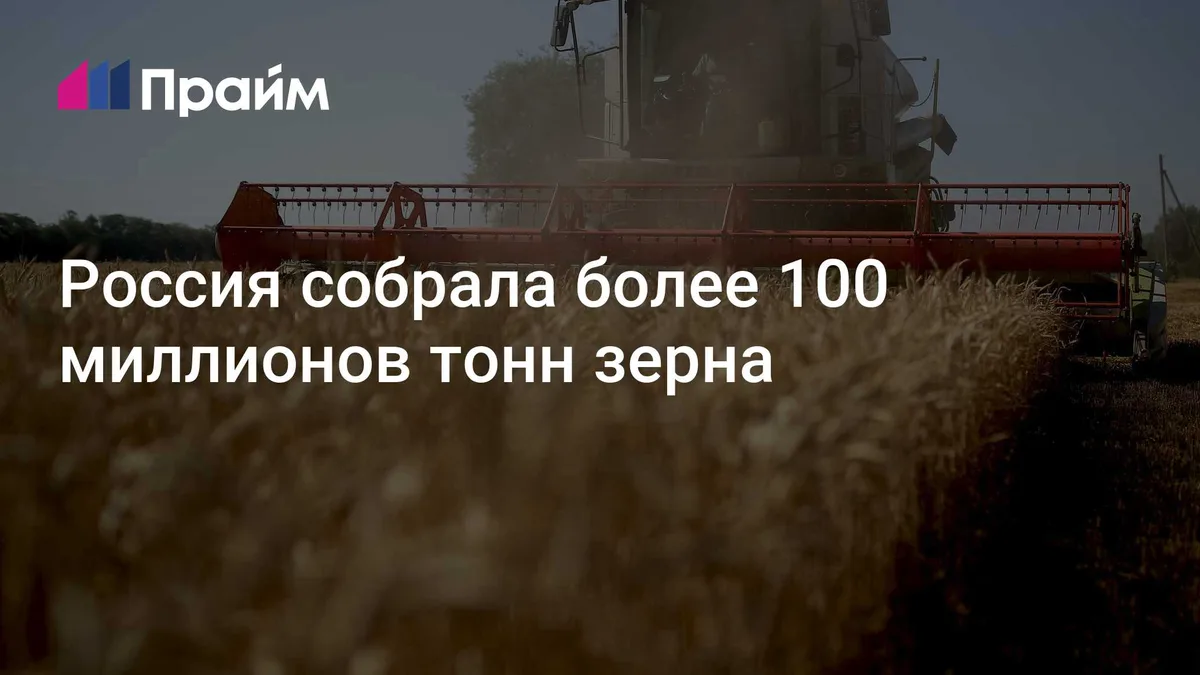 Россия собрала более 100 миллионов тонн зерна