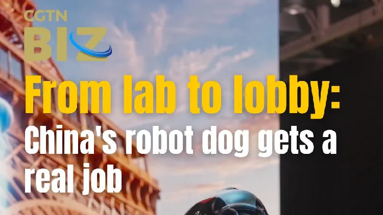 From lab to lobby: China's robot dog gets a real job