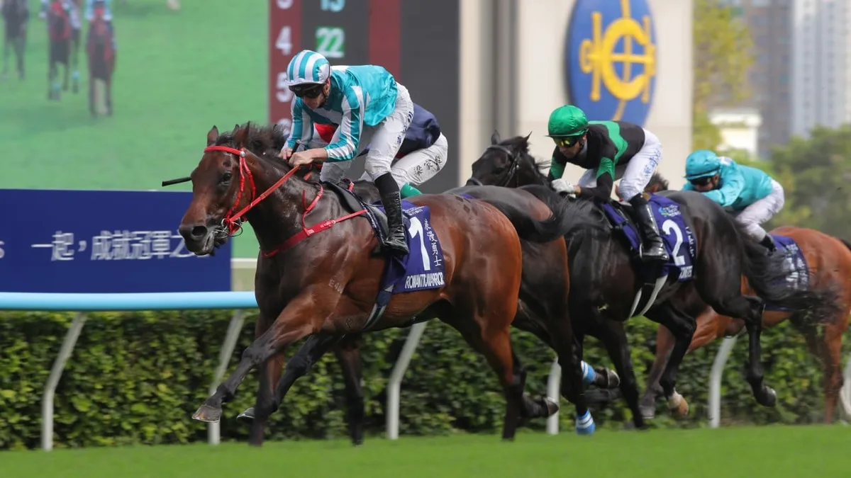 Champion galloper Romantic Warrior retired from racing after sustaining leg injury