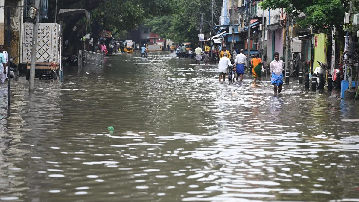 Chennai residents seek better access to flood-risk information