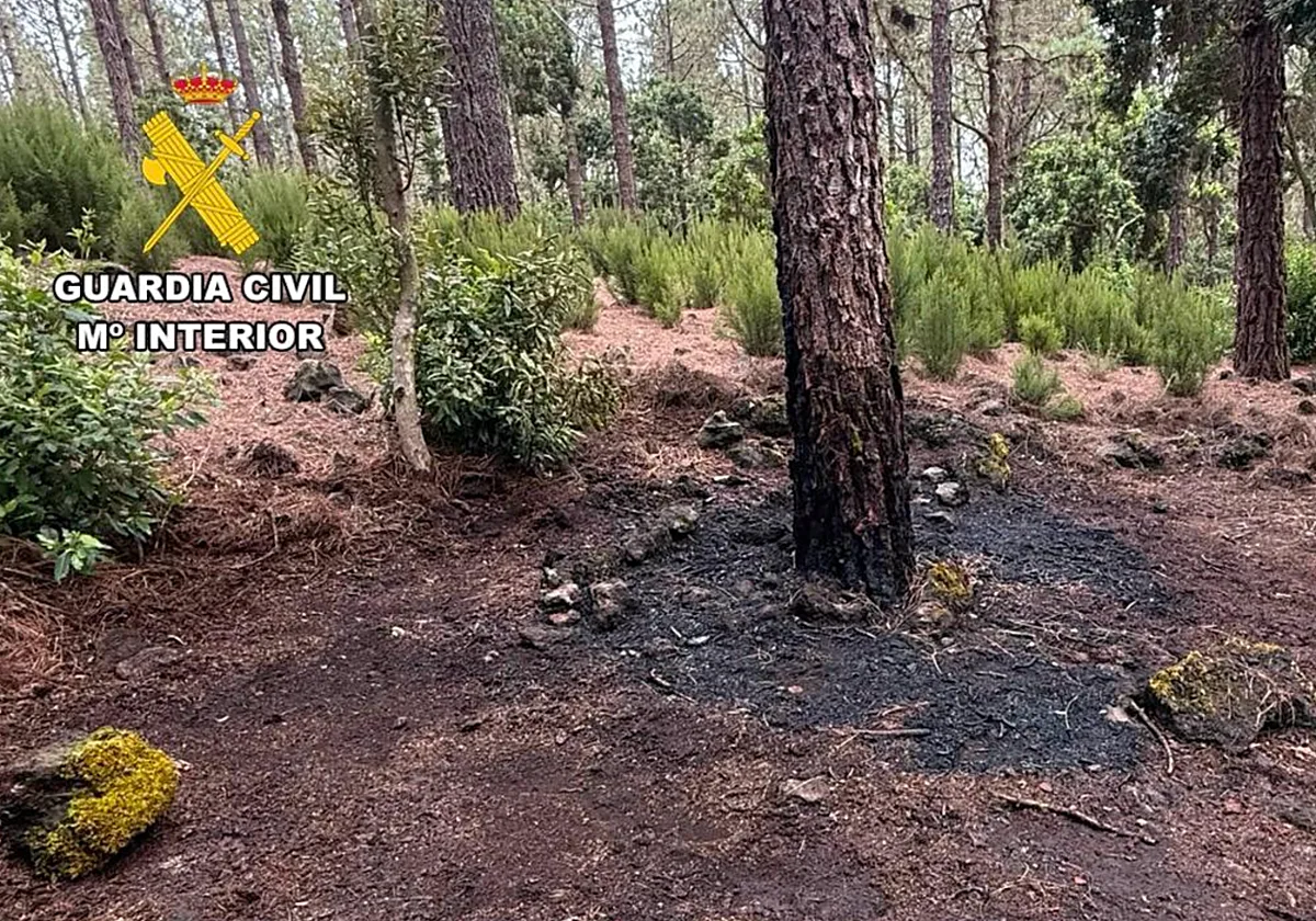 Detenido en menos de una hora el autor de un conato de incendio forestal en Tenerife