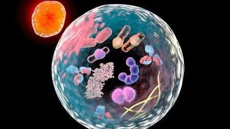 Fatigue chronique : des marqueurs visibles au niveau cellulaire