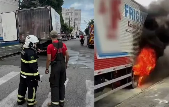 Pássaro atinge fiação, morre e provoca incêndio em caminhão na Bahia