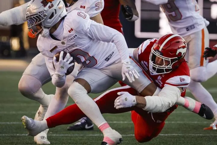 Stampeders win and await playoff fate
