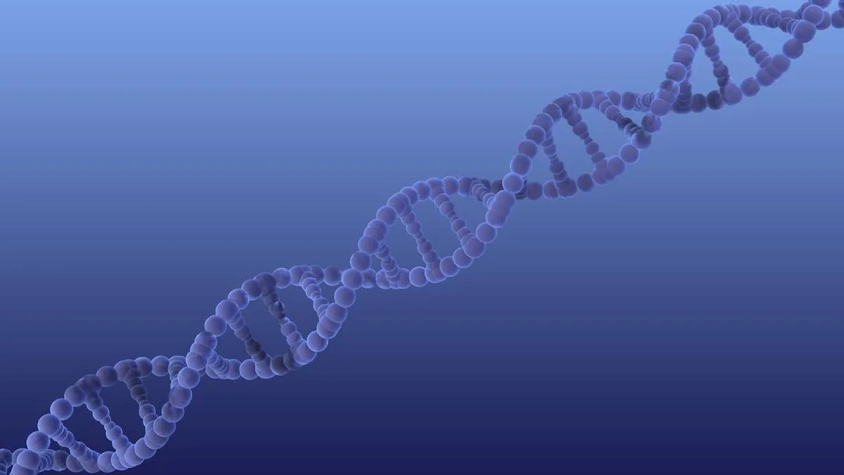 Teens accused of online ambush murder oppose DNA test
