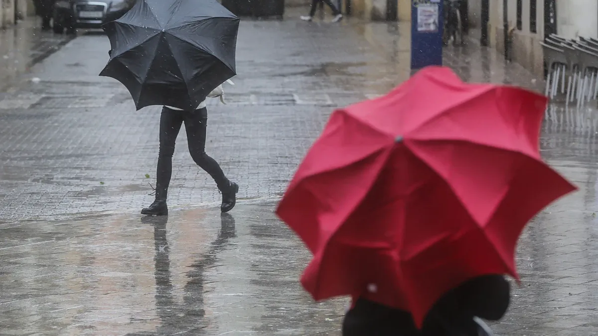 Alerta por lluvias en el Mediterráneo, en directo | Suspendidas las clases este jueves en Murcia, Almería, Valencia y Alicante