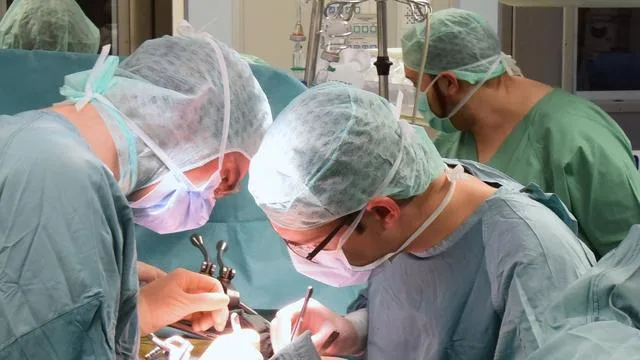 Gesundheit: Nächster Anlauf zu neuen Organspende-Regeln