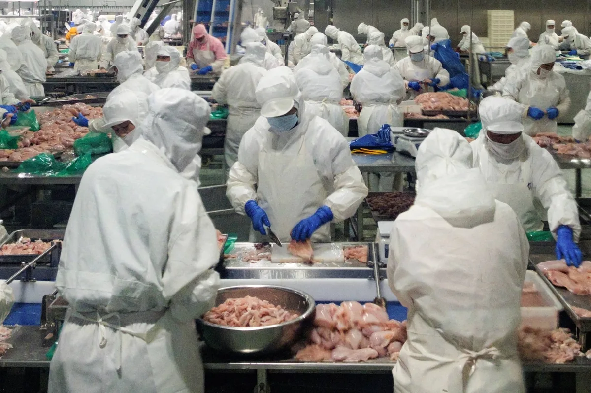 This Chinese export boom really has legs — and wings