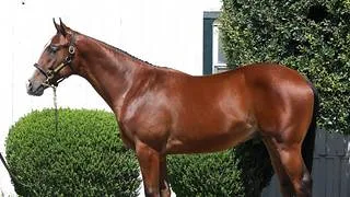 Atleta Meridiano 2025 decide sobre un costoso hijo de Into Mischief en Del Mar