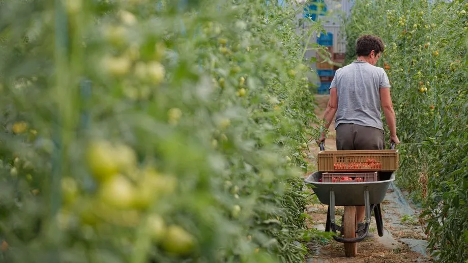 Sécheresse : le Premier ministre Sébastien Lecornu promet de nouvelles mesures pour l'agriculture dans le budget 2027