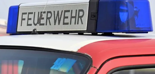 Hessen: Tiere bei Großbrand auf Reitanlage gerettet