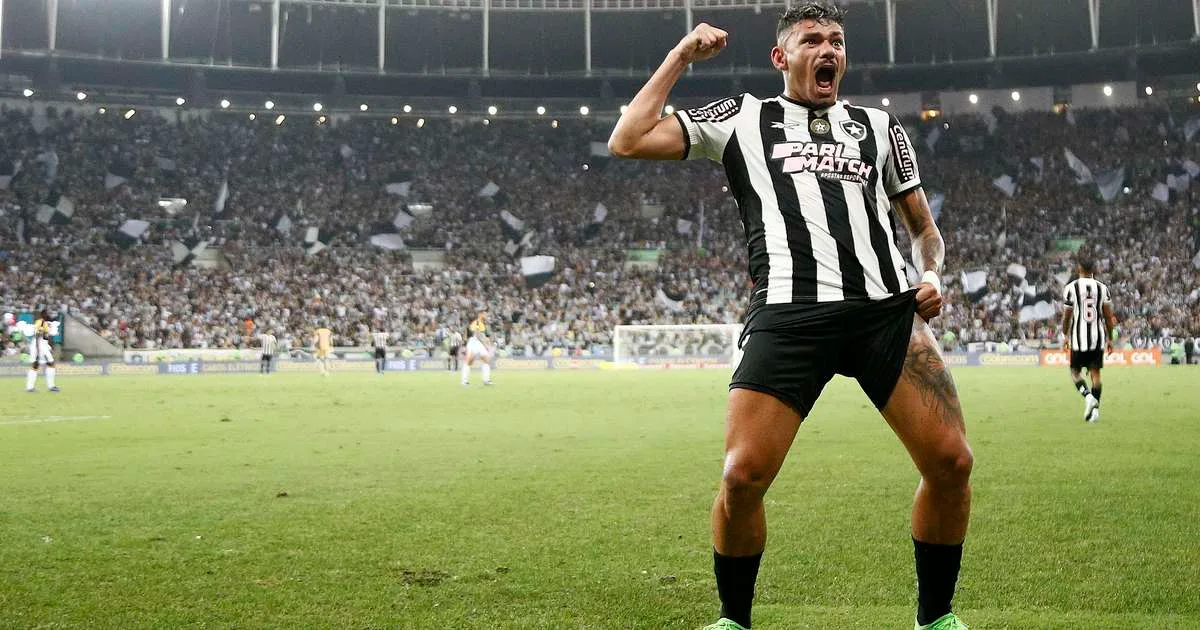 Campeão brasileiro e da Libertadores pelo Botafogo, Tiquinho negocia retorno ao clube