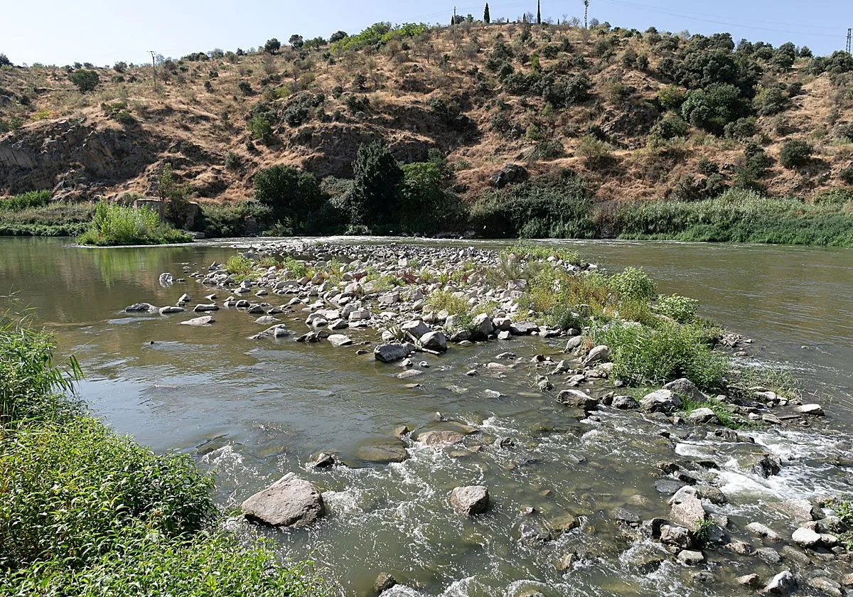 El Tajo en Toledo está hasta 40 veces por encima del límite de bacterias fecales para el baño