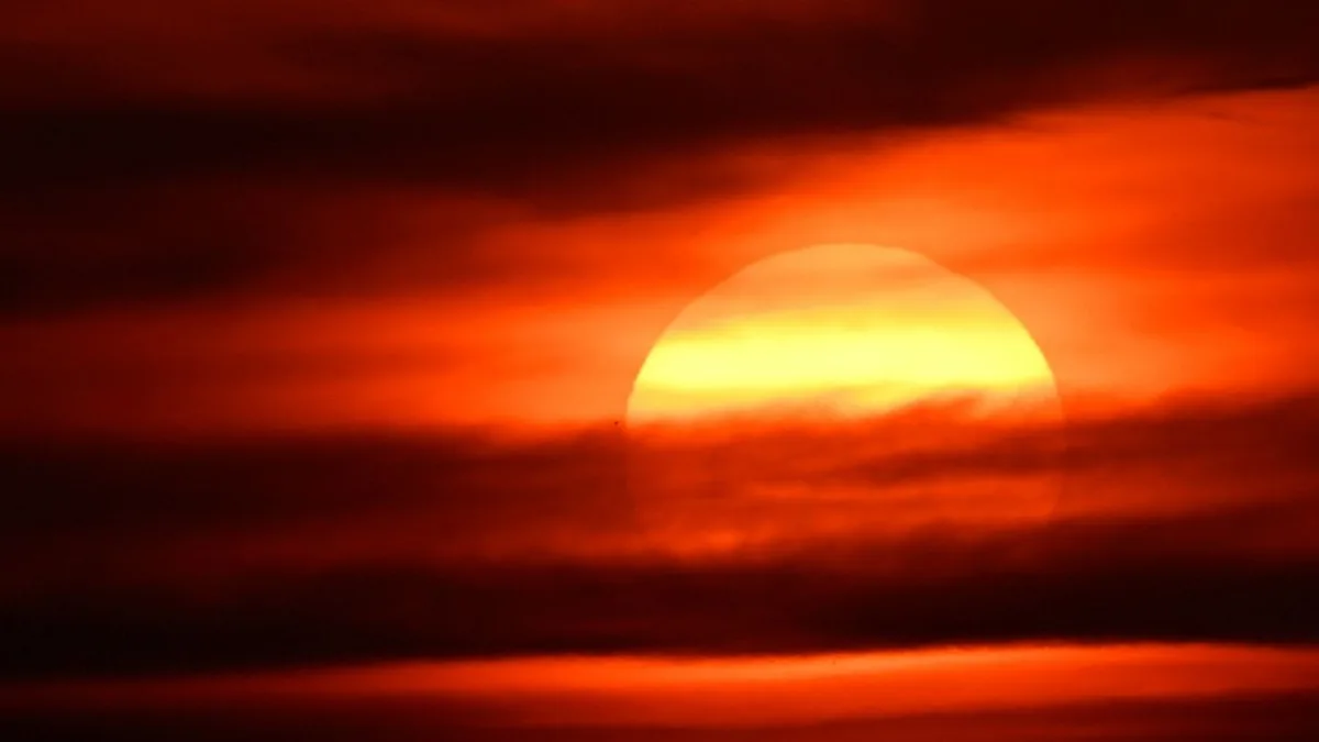 RKI-Bericht: Bereits rund 14.000 hitzebedingte Todesfälle in diesem Sommer
