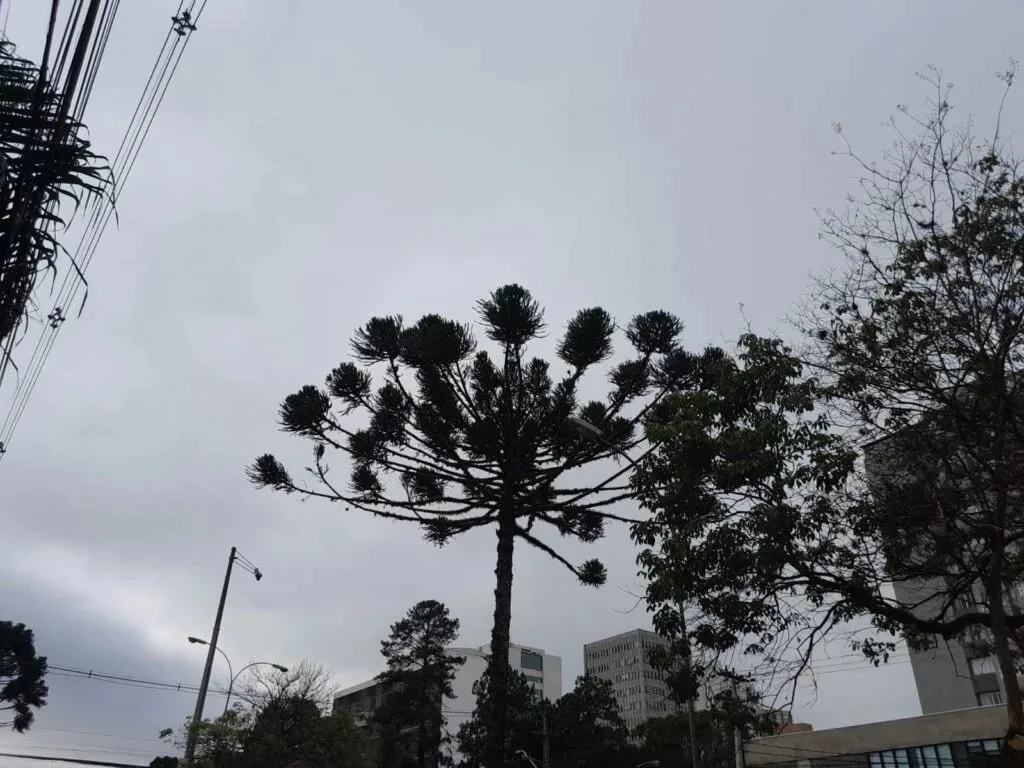 Chuva dá trégua nesta quarta no Paraná e temperaturas começam a subir