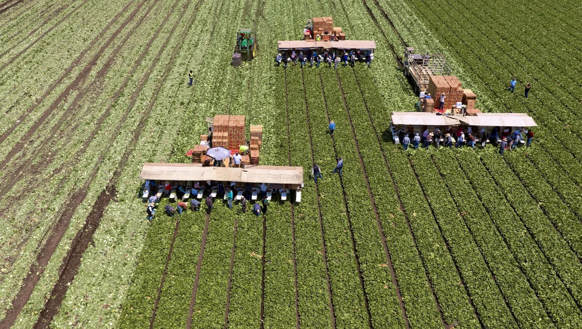Trump administration’s pay cuts for migrant farmworkers ruled illegal