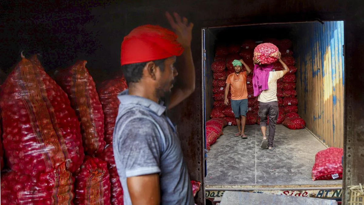 Govt’s onion buffer stock quality ‘good’, storage with CWC aids shelf life: Consumer affairs secretary