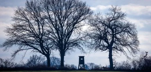 Niedersachsen: Angehörige finden Jäger leblos auf Hochsitz