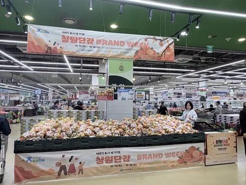 수도권 대형마트 28곳서 창원 단감 최대 20% 할인…11월 2일까지
