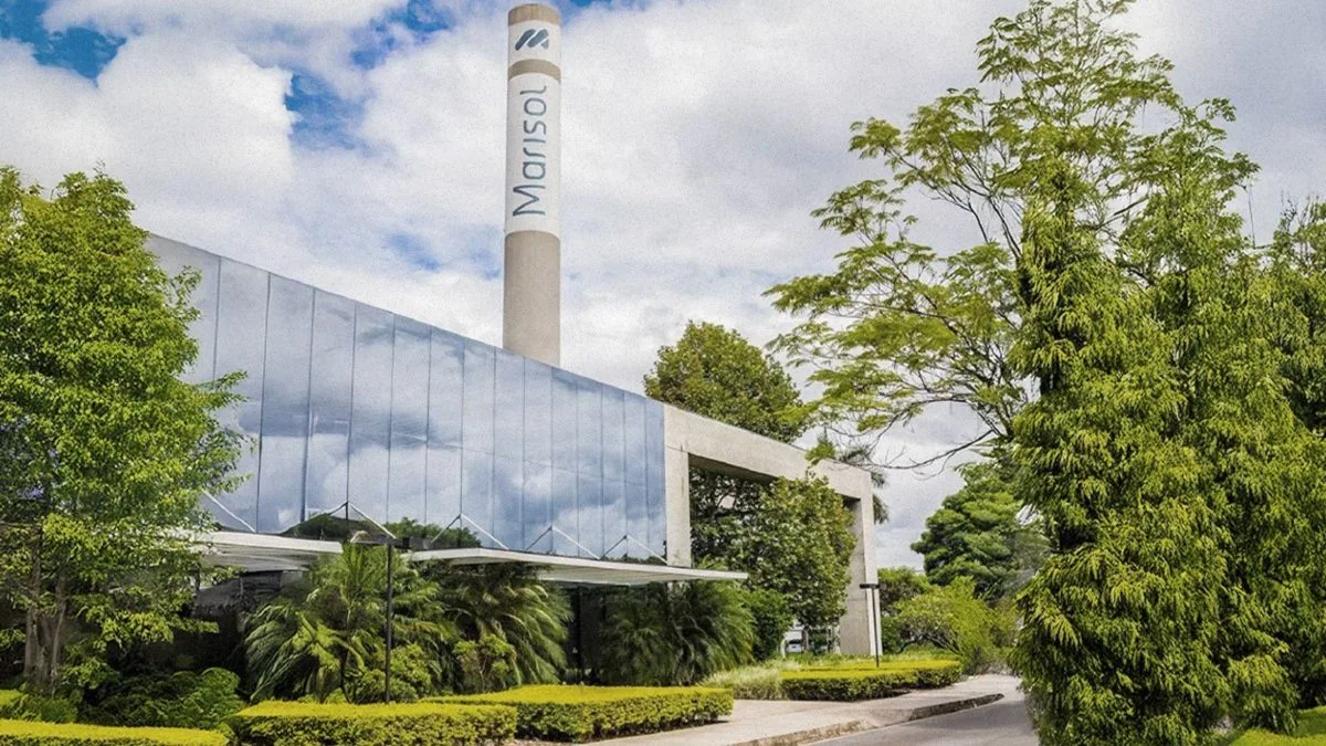 Antes de criar personagem icônico, gigante de SC começou fazendo chapéus de praia em 1964 e virou império da moda infantil