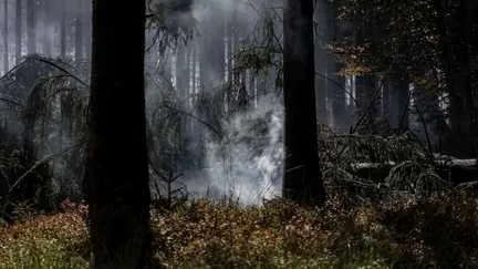 En Belgique, l'incendie des Hautes Fagnes est "désormais contrôlé"