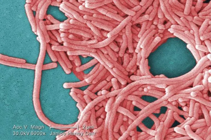 TTC cooling tower is source of Toronto legionnaires’ outbreak: public health