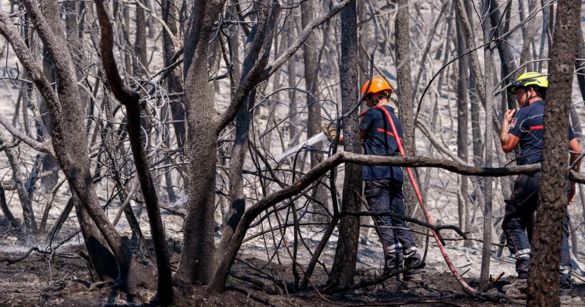 Météo. Incendies : un feu ravage une centaine d'hectares dans les Landes, la situation jugée « défavorable »