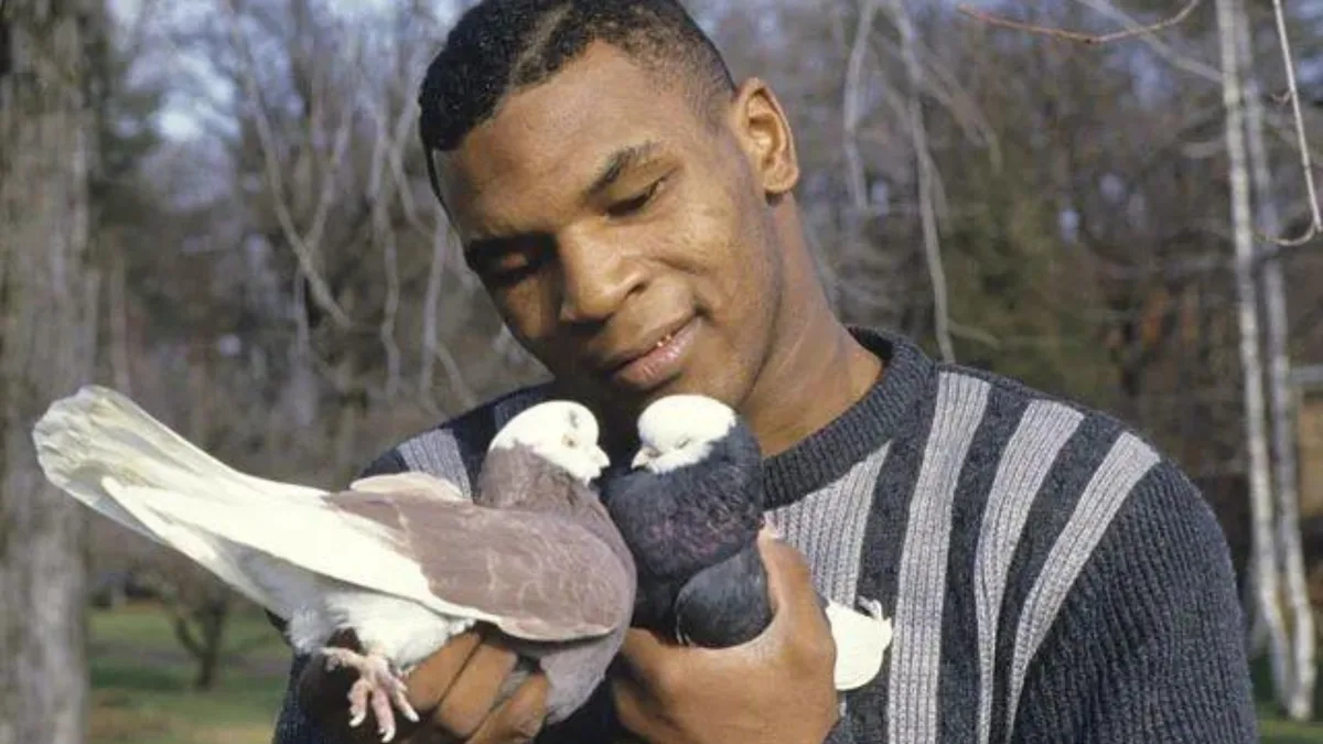 Mike Tyson kept pigeons as a bullied Brooklyn boy; decades later, he still has hundreds