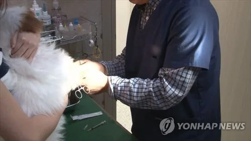 [반려동물] 정부 "동물병원 진료비 공개"…수의계 "단순 비교 안돼"