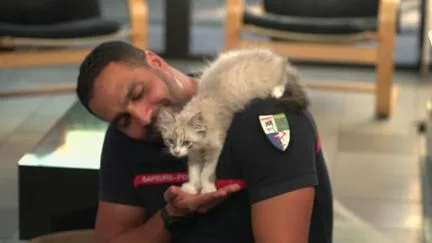 Sauvé d'une poubelle pendant l'incendie en Gironde, adopté par les pompiers, le chaton Saumos a rejoint une caserne près de Bordeaux
