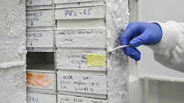 Inside the Montreal lab preparing Canada for the next pandemic