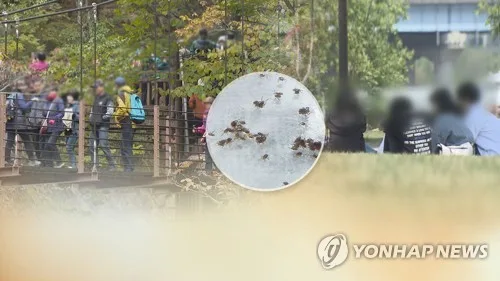 전북 인플루엔자·코로나19 등 증가세 "추석 대이동, 유의해야"