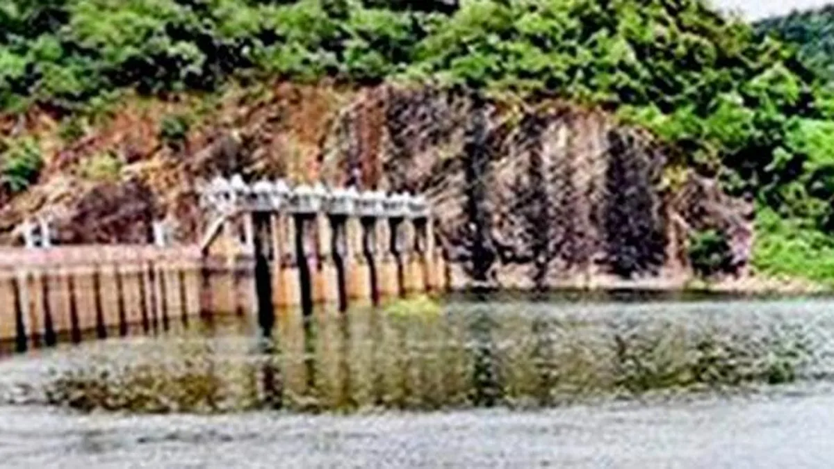 Water level in Papanasam dam stands at 73.30 feet