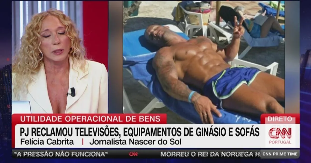 Felícia Cabrita lembrou-se de um programa de Ricardo Araújo Pereira ao olhar para o caso Luís Neves