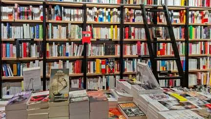 Rentrée littéraire 2026 : quelque 461 romans pour une reprise résolument variée