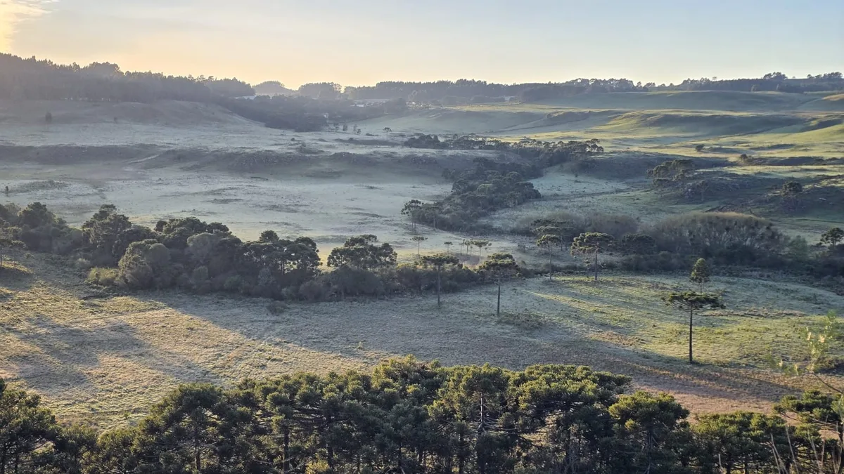 De 30°C a -4°C: ciclone extratropical e ar frio derrubam temperaturas em SC